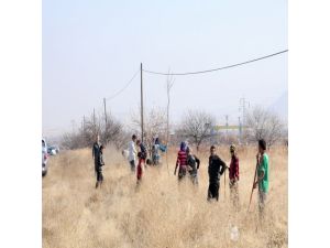 Karayollarının Kenarları Ağaçlandırıldı