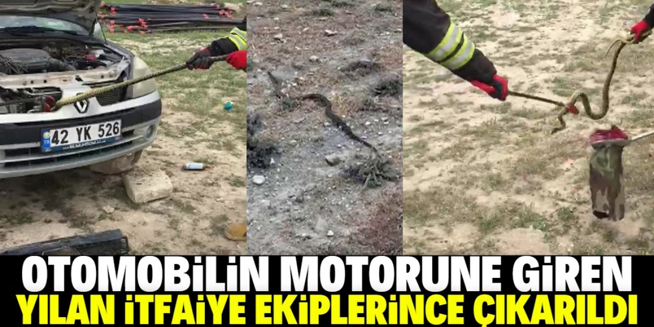 Konya'da otomobilin motoruna giren yılan, itfaiye ekiplerince çıkarıldı