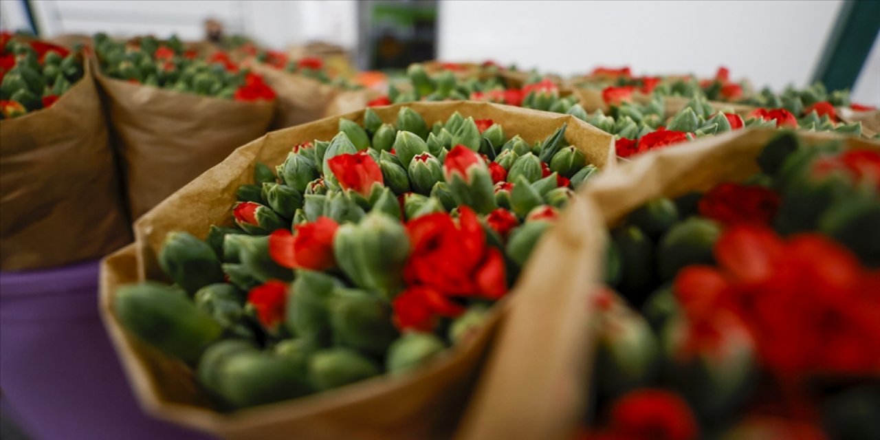 Çiçek sektörü 4,5 ayda yaklaşık 44 milyon dolarlık ihracat yaptı