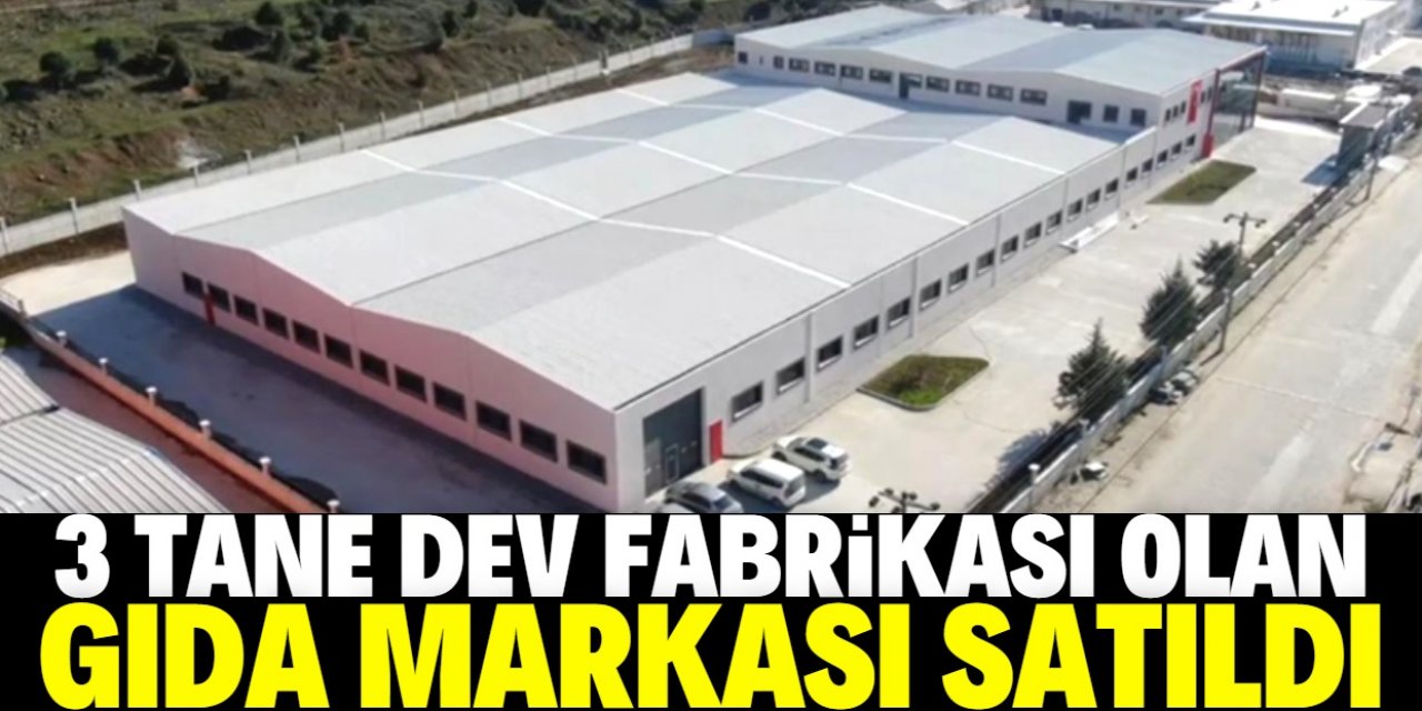 Türkiye'de 3 fabrikası olan gıda devini kim satın alıyor?