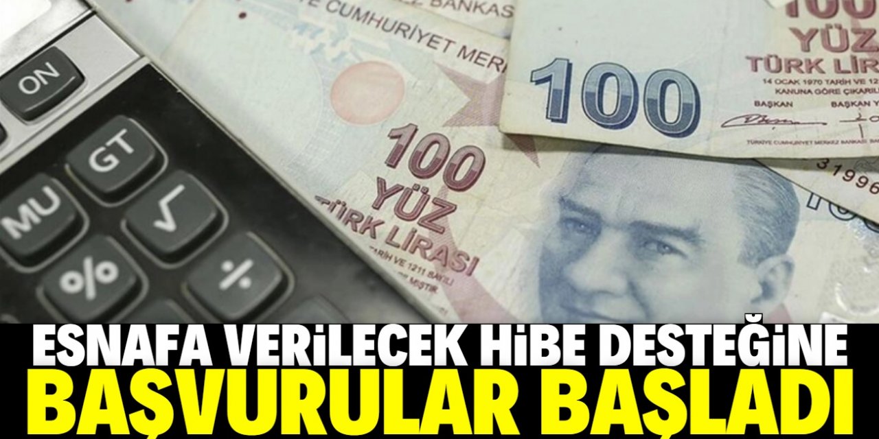 Esnafa yönelik hibe desteğinde başvurular kimlik numarasına göre yapılacak