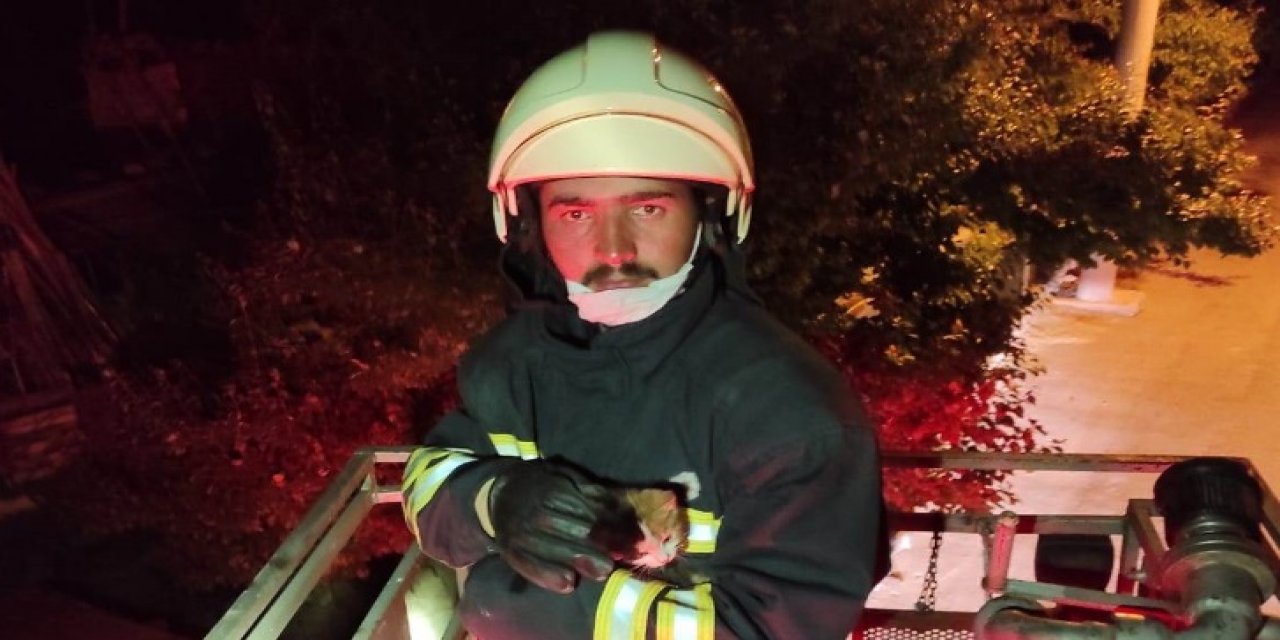 Seydişehir'de evin çatısında mahsur kalan kediyi itfaiye ekipleri kurtardı