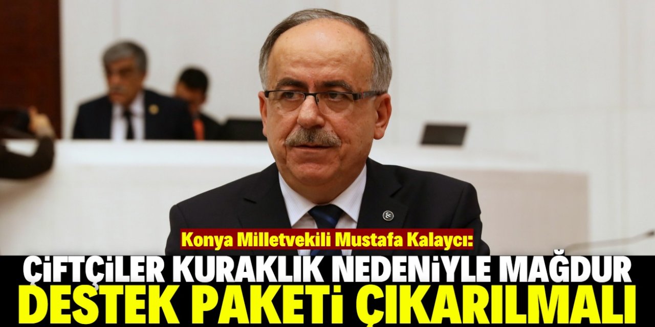 “Çiftçimize bir destek paketi çıkarılmalı”