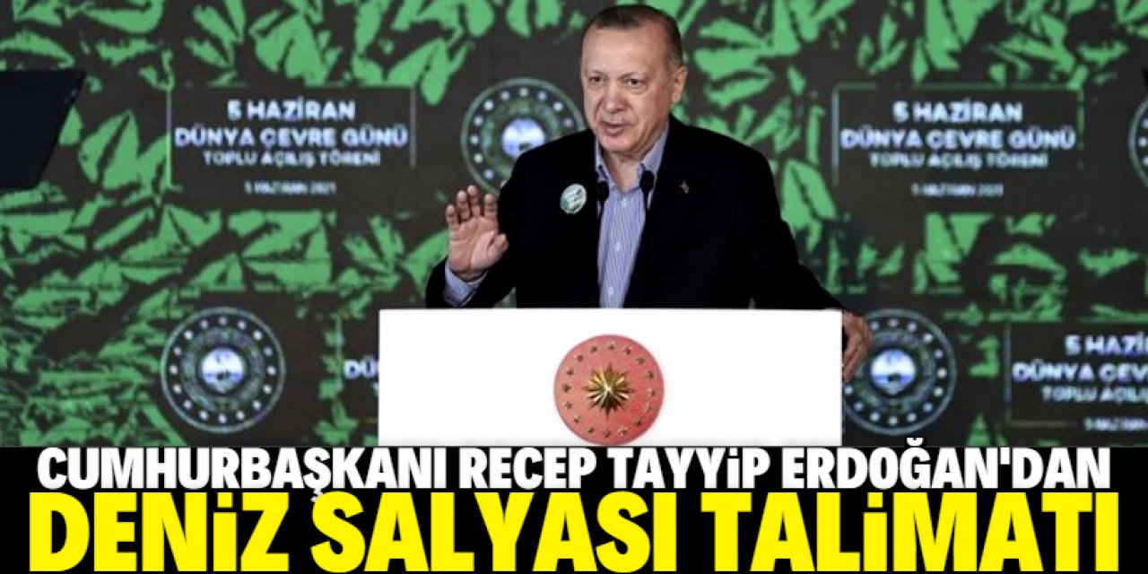 Cumhurbaşkanı Erdoğan'dan deniz salyası talimatı