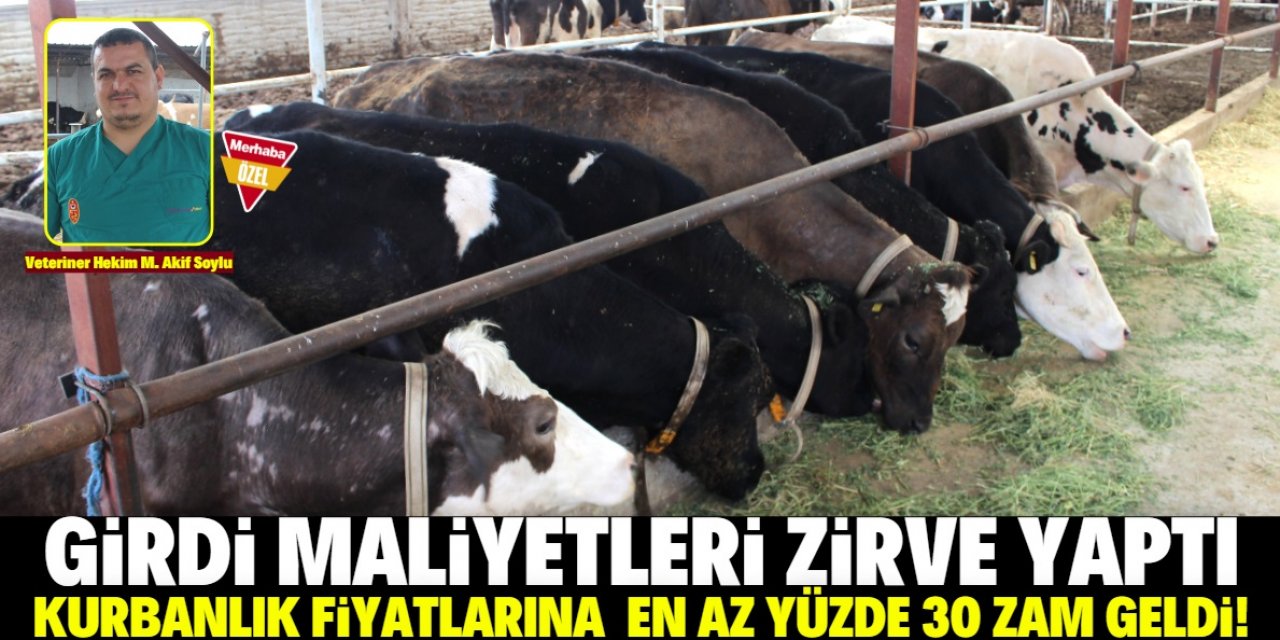 Kurbanlık fiyatlarında yüzde 30 artış var