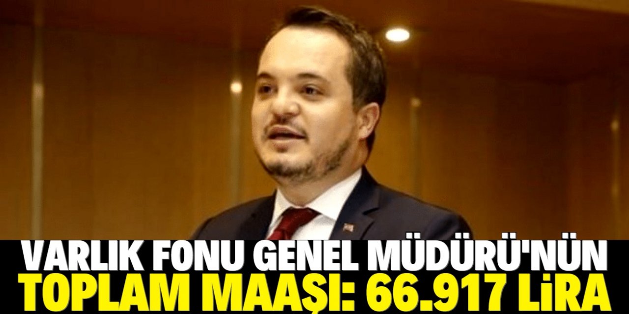 Varlık Fonu Genel Müdürü'ne çift maaş!