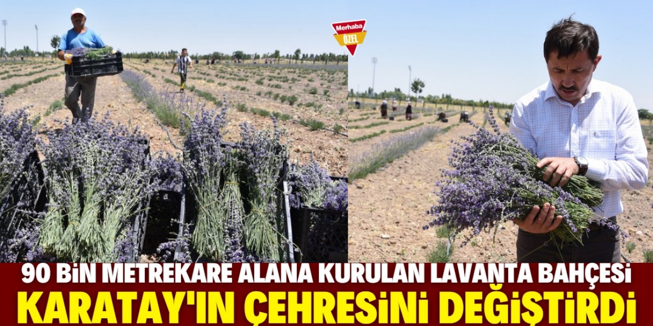 Lavanta Bahçesi çehreyi değiştirdi