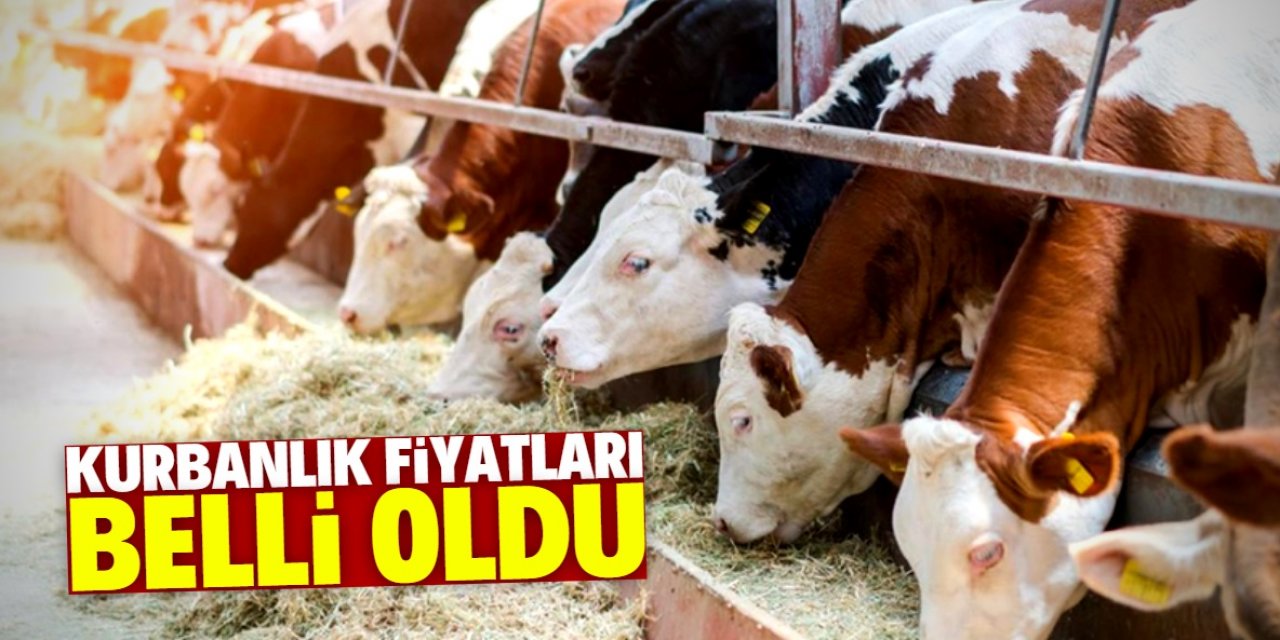 Konya'da kurbanlık fiyatları belli oldu (2021)