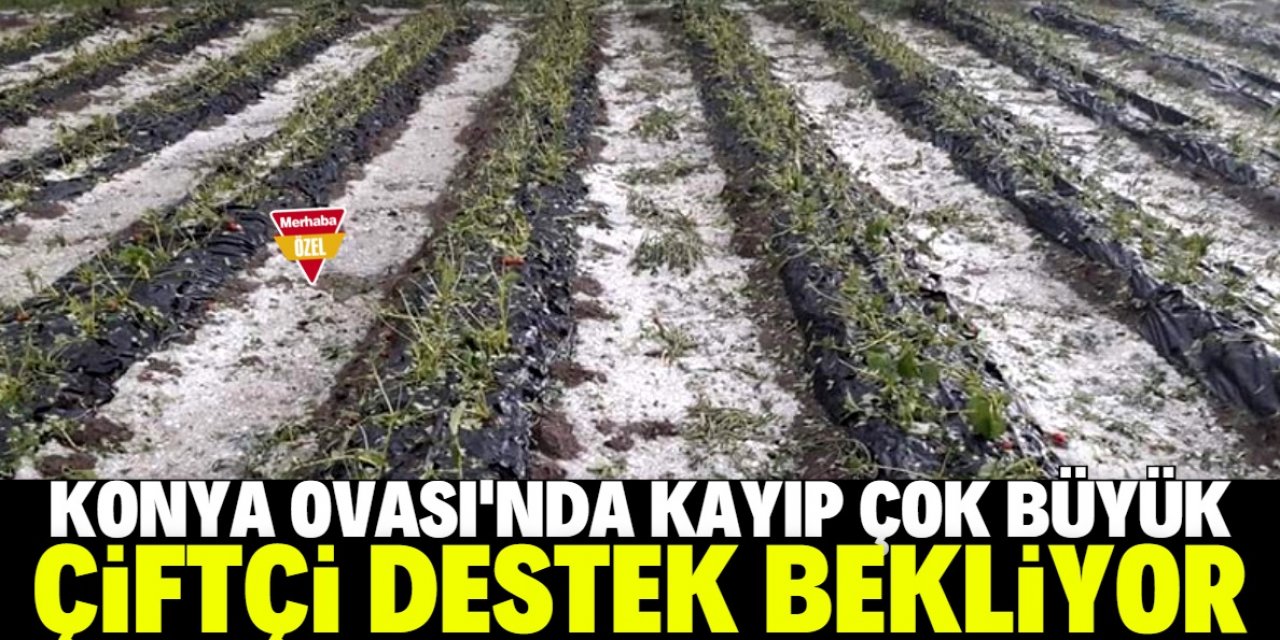 Afet mağduru çiftçiler destek istiyor