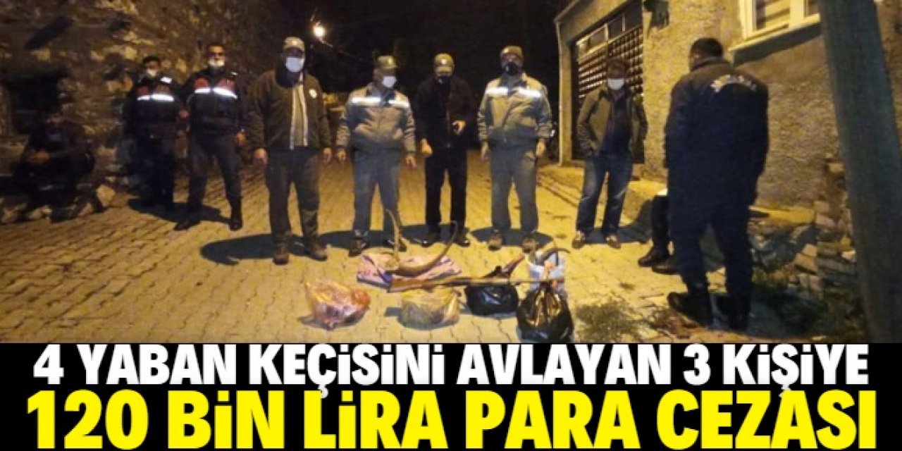 Konya'da 4 yaban keçisini avlayan 3 kişiye 120 bin lira ceza