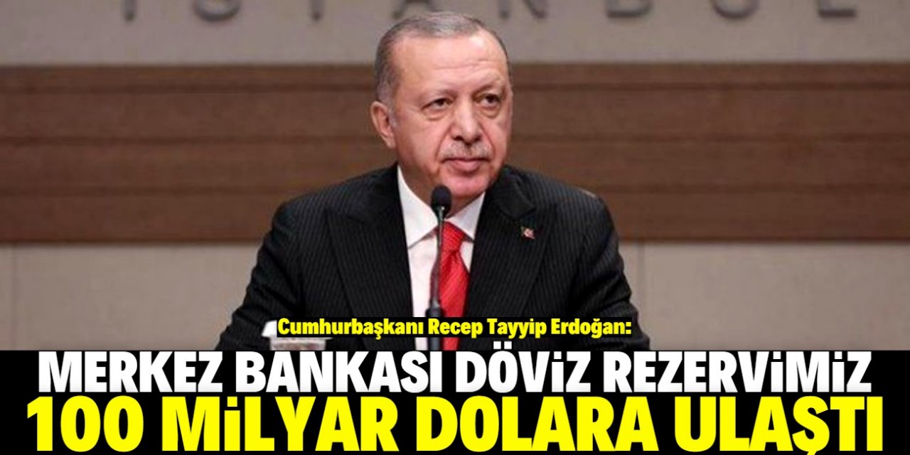 Erdoğan'dan Merkez Bankası döviz rezervi açıklaması