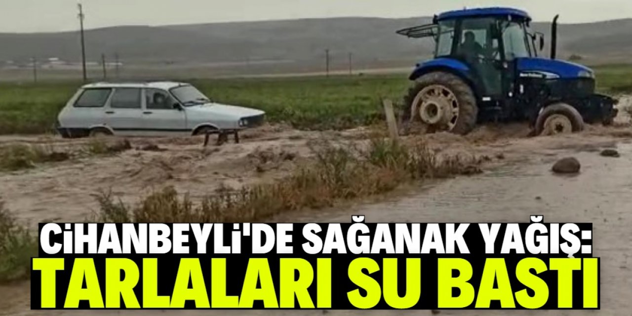 Aniden başlayan yağmur tarım arazilerinde zarara yol açtı