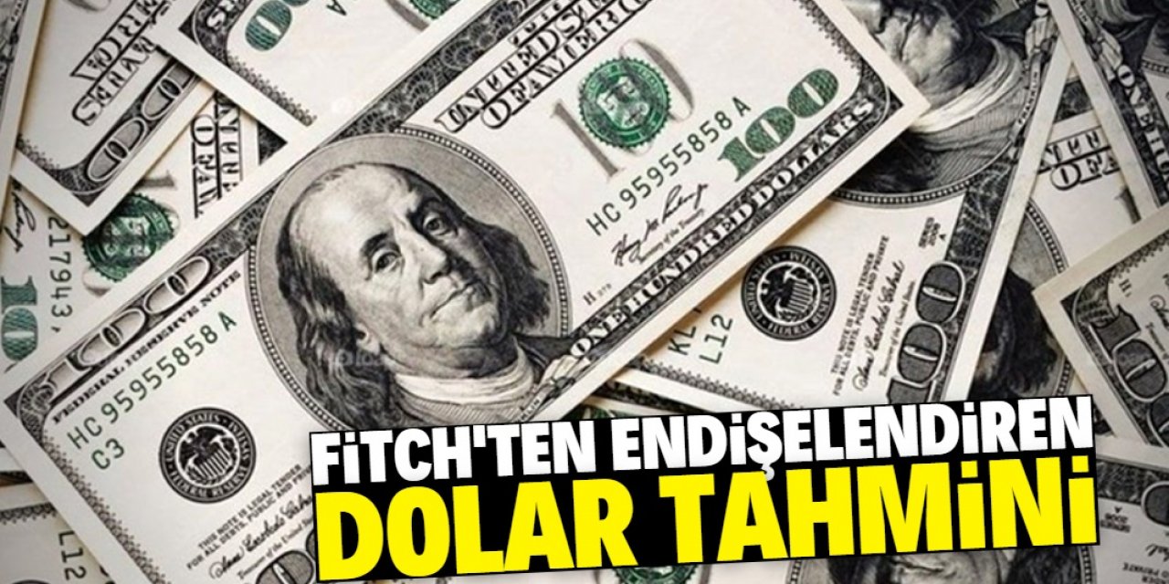 Türkiye hakkında dolar kuru ve büyüme beklentileri paylaşıldı
