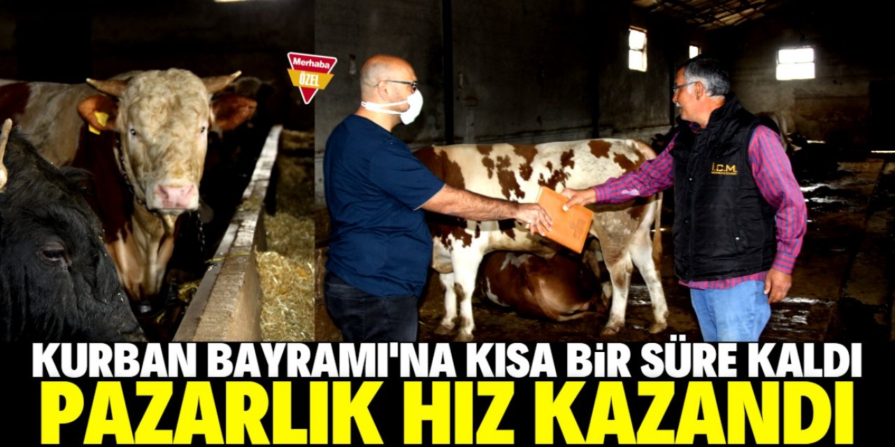 Kurban heyecanı arttı pazarlık hız kazandı