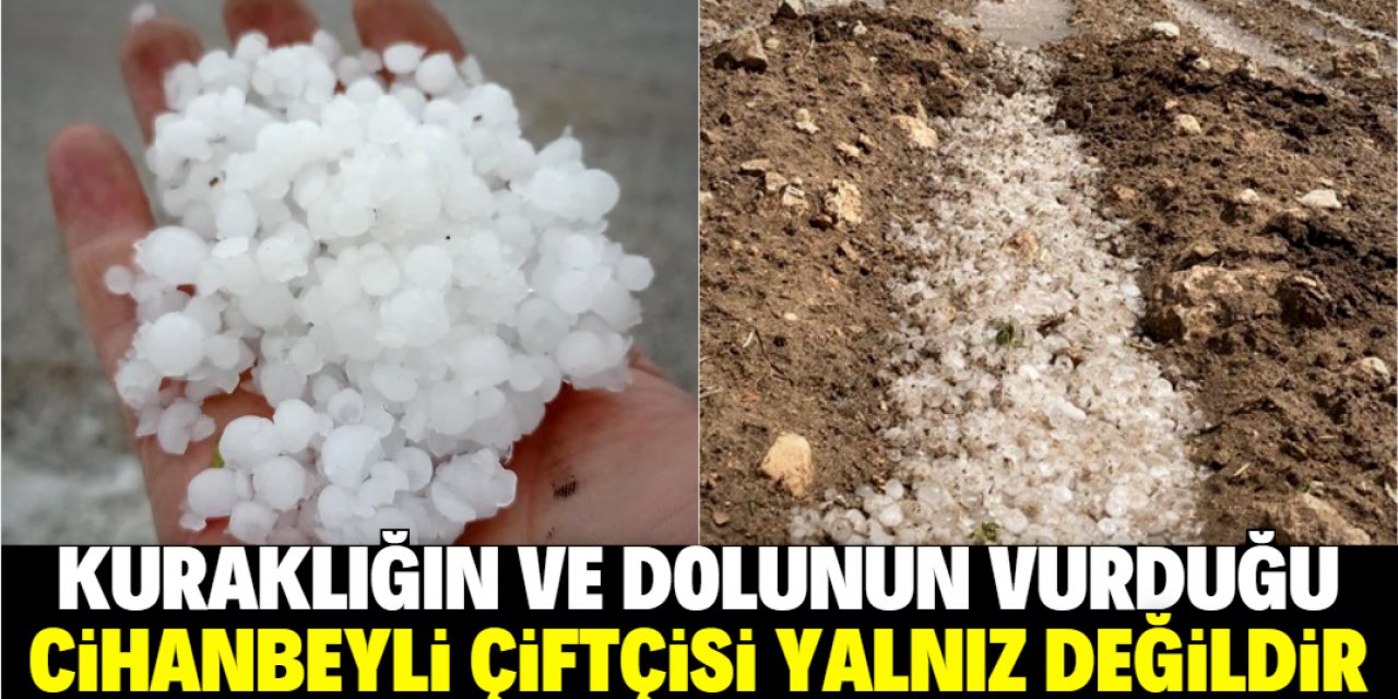 Dolunun ve kuraklığın vurduğu Cihanbeyli'ye hangi Milletvekili gitti?