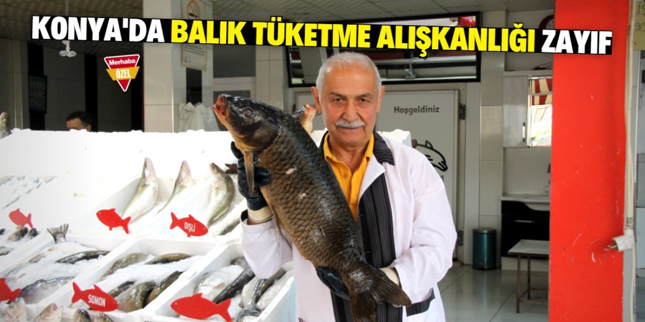 Konyalı balığı fazla tüketmiyor