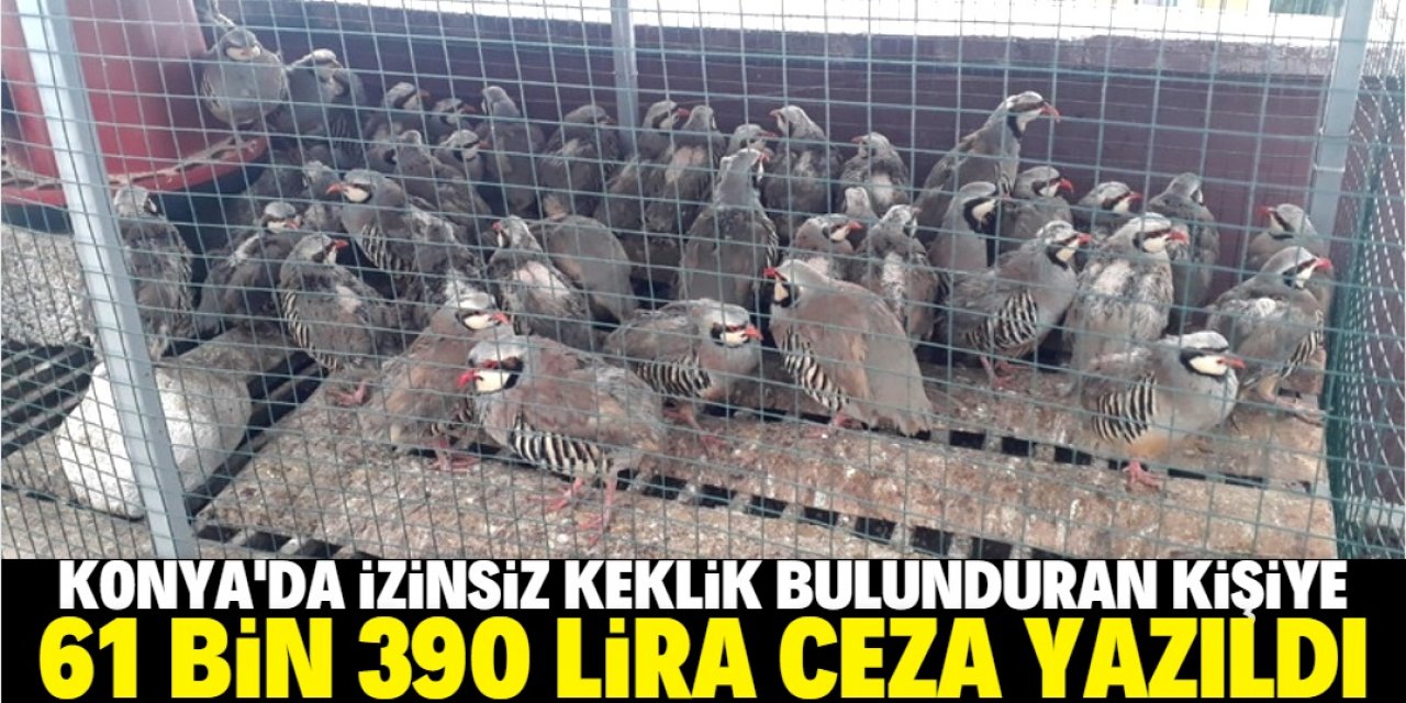 Konya'da bir evde arama yapan ekipler 76 keklik buldu