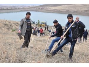 10 Bin Fidan Toprakla Buluştu