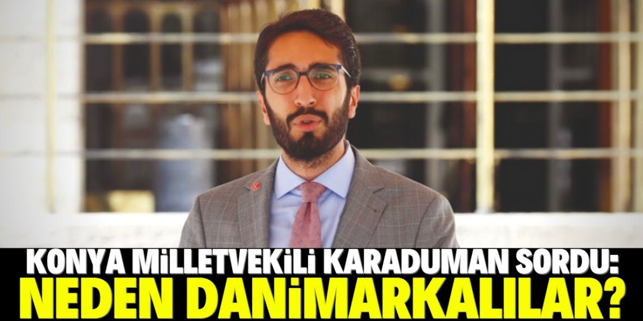 Şehir hastanelerini neden Danimarkalılar işletecek?