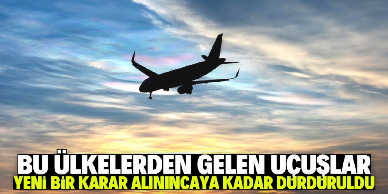 İçişleri Bakanlığı: 6 ülkeden gelen uçuşlar durduruldu