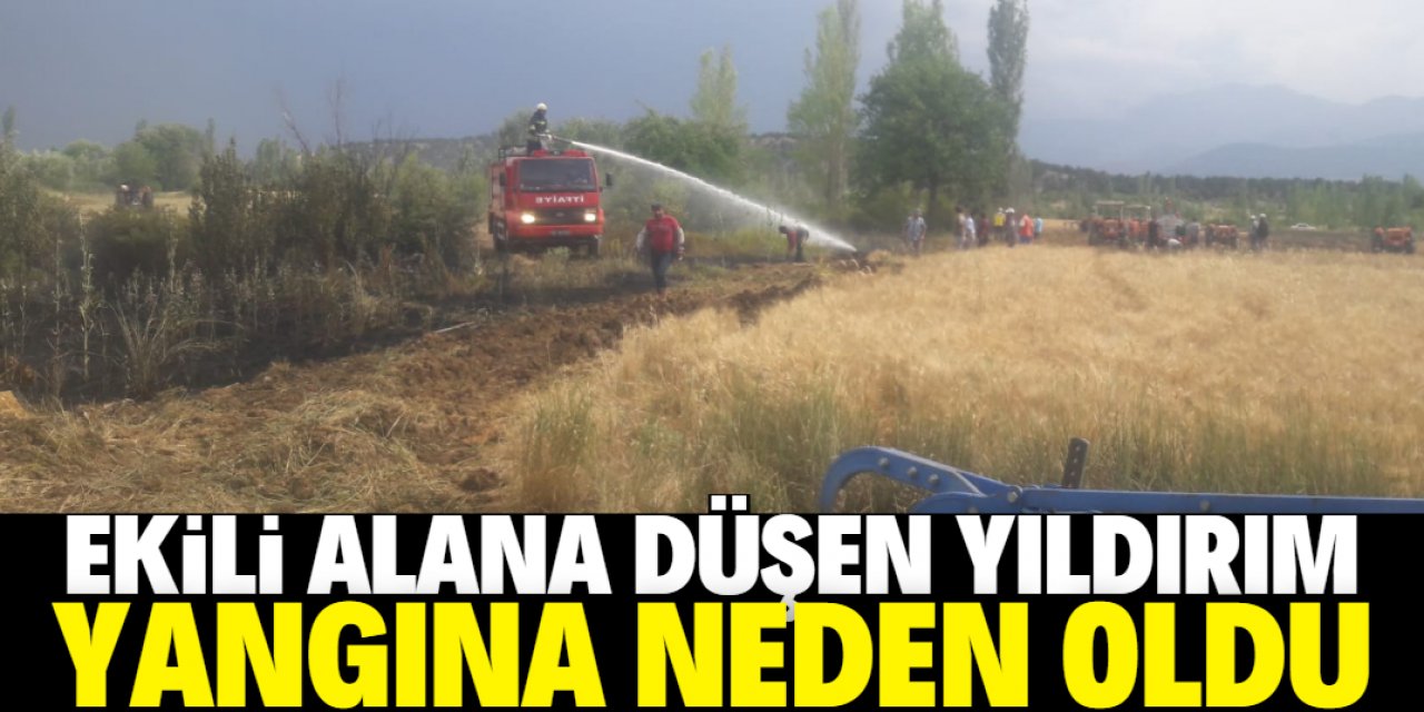 Seydişehir'de ekili araziye düşen yıldırım, yangına neden oldu