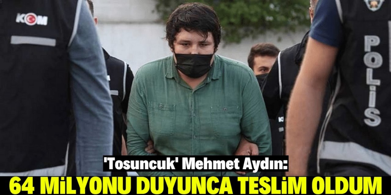 'Tosuncuk' Mehmet Aydın: '64 milyonu duyunca teslim oldum'