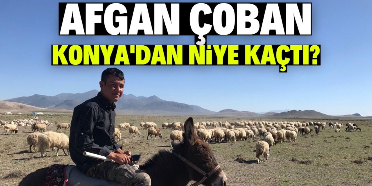 AFGAN ÇOBAN KONYA'DAN NiYE KAÇTI?