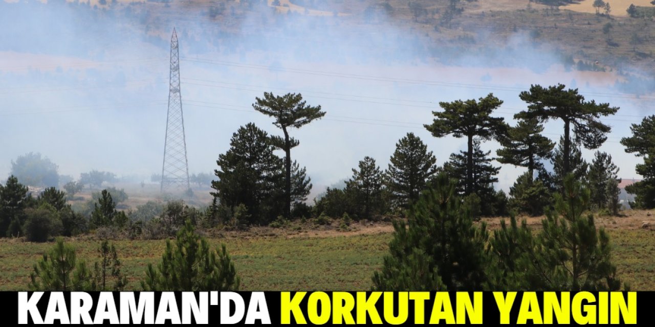 Karaman'da ormanlık alanda çıkan yangın söndürüldü