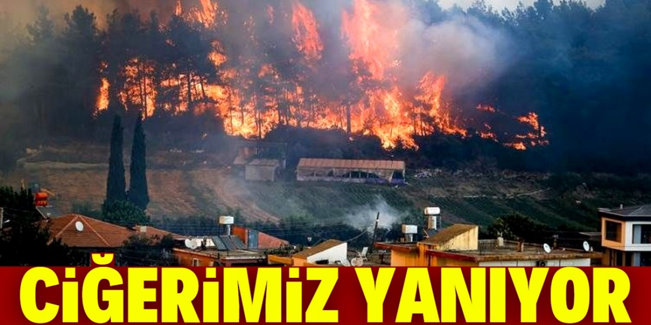 Türkiye'nin ciğeri yanıyor