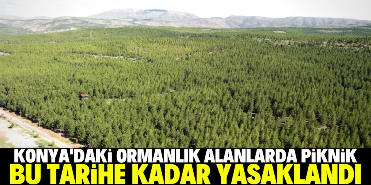 Ormanlık alanlarda piknik yasaklandı