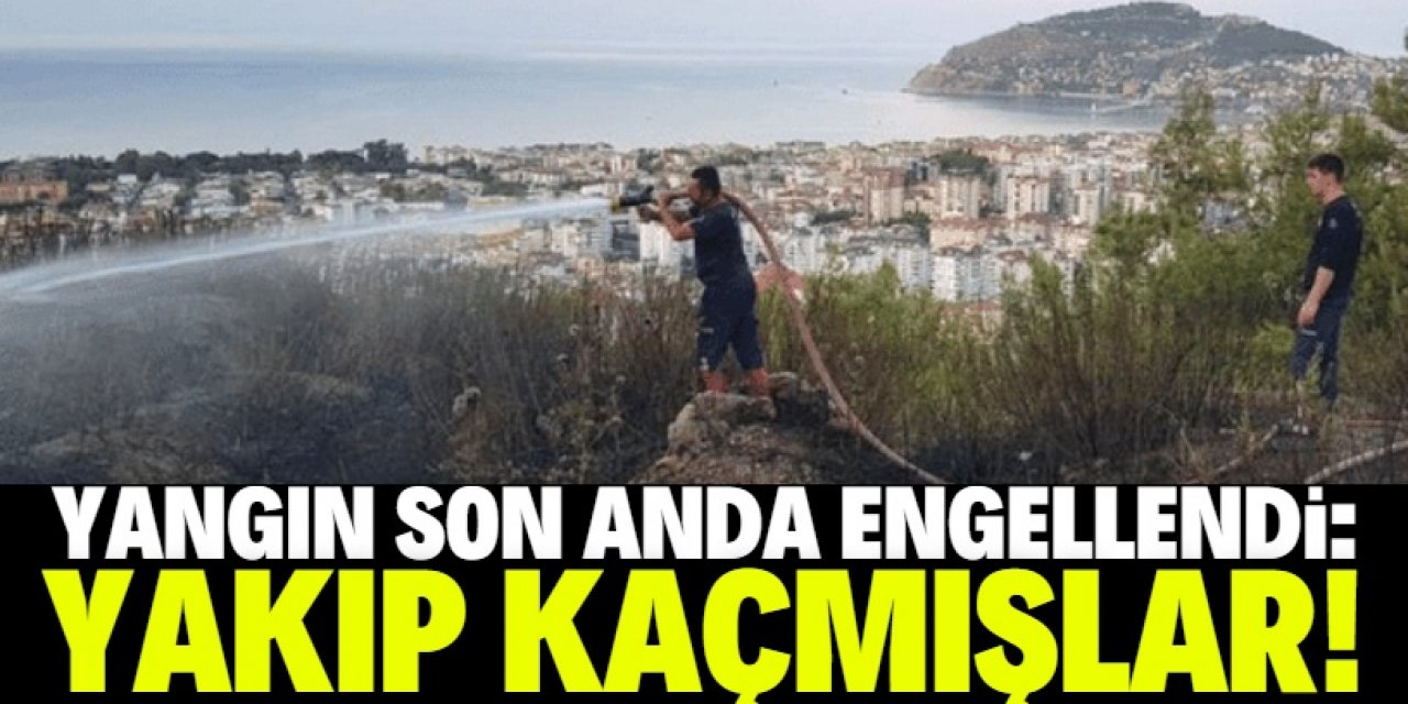 Alanya’da yangın son anda önlendi