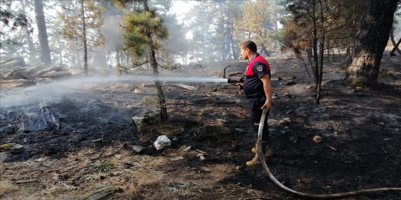 Aydın'daki orman yangınına havadan ve karadan müdahale ediliyor