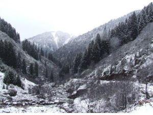 Ayder Yaylası Beyaza Büründü, Ovit'te Kar Kalınlığı Yarım Metreyi Buldu
