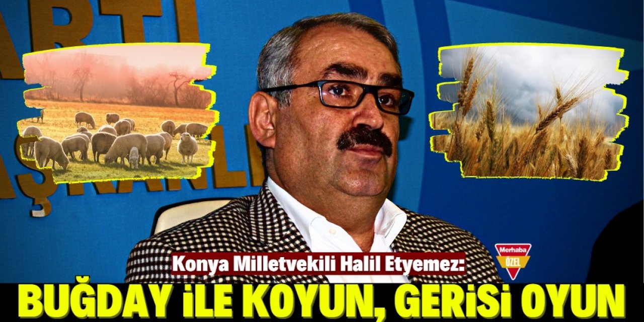 "Bu coğrafyanın geleneği buğday ile koyundur"