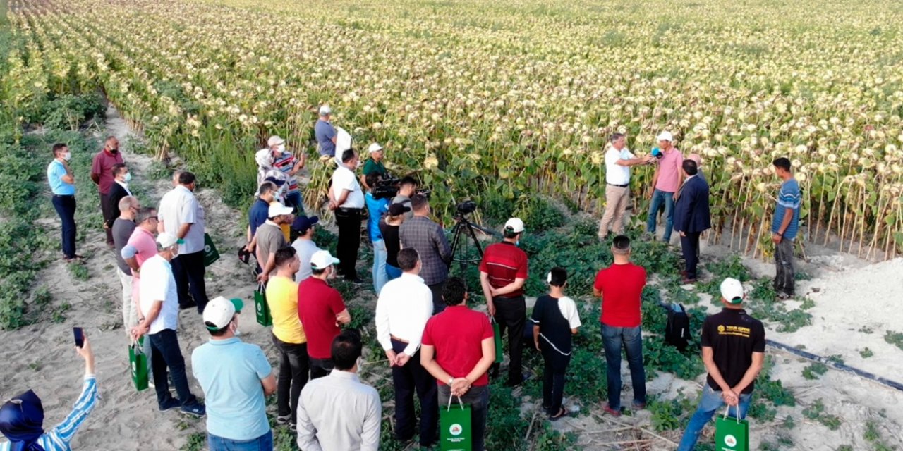 KOP’un yenilikçi projesi tarla günü etkinliğiyle tanıtıldı