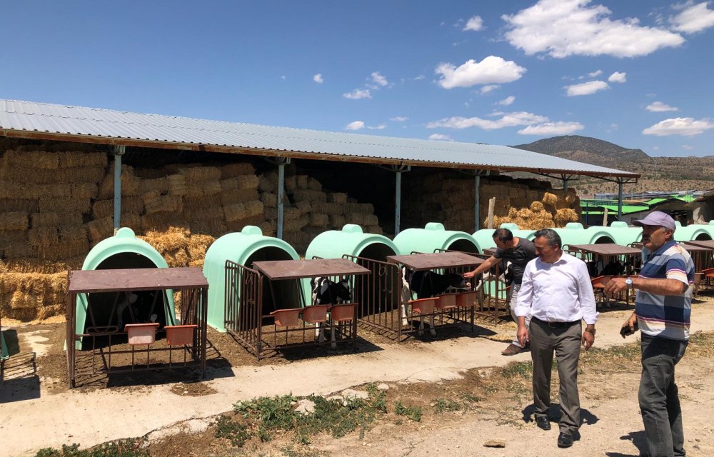 Seydişehir'de hayvancılık projeleri artıyor