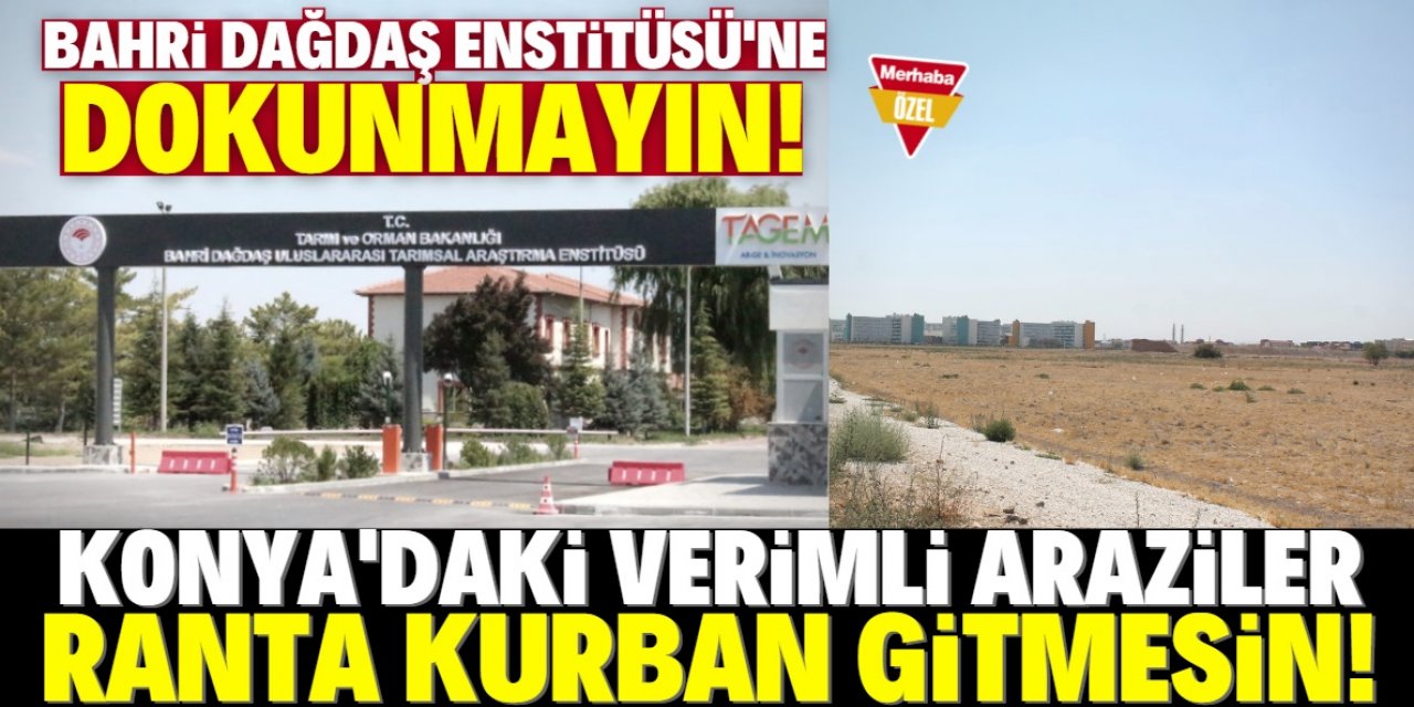 Bahri Dağdaş'ın arazileri ranta kurban edilmesin!