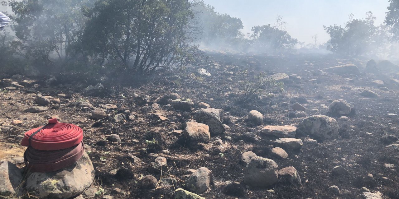 Seydişehir'de çıkan orman yangını itfaiye ekiplerince kontrol altına alındı