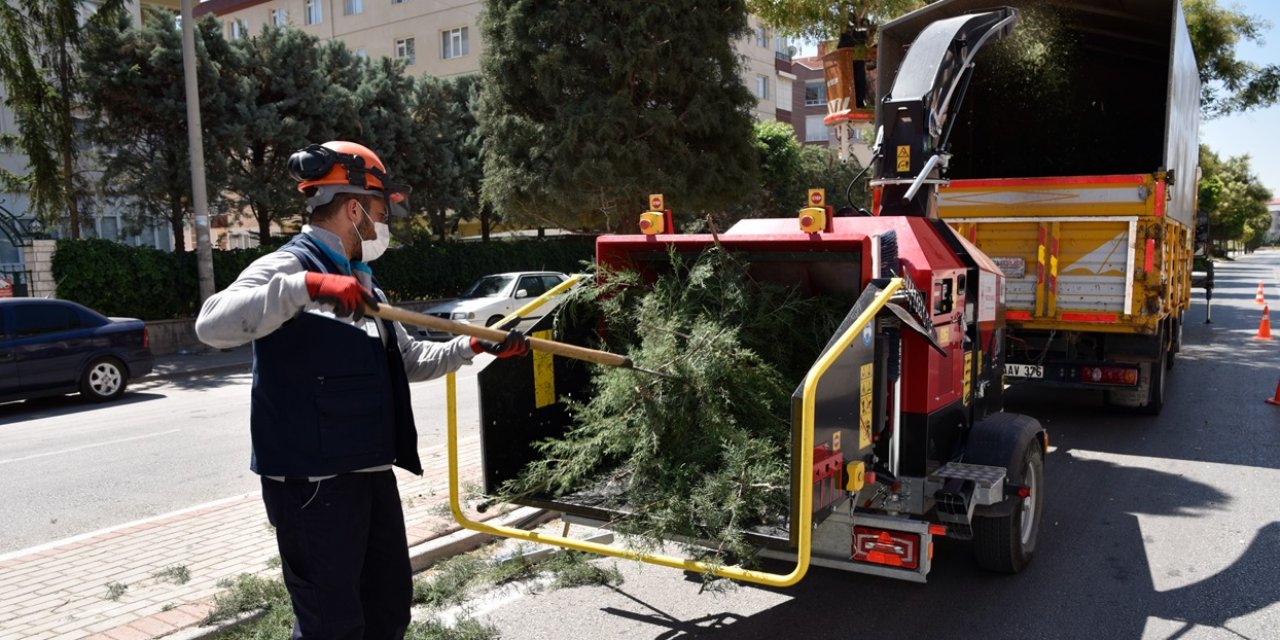 Selçuklu’da ağaç budama mesaisi