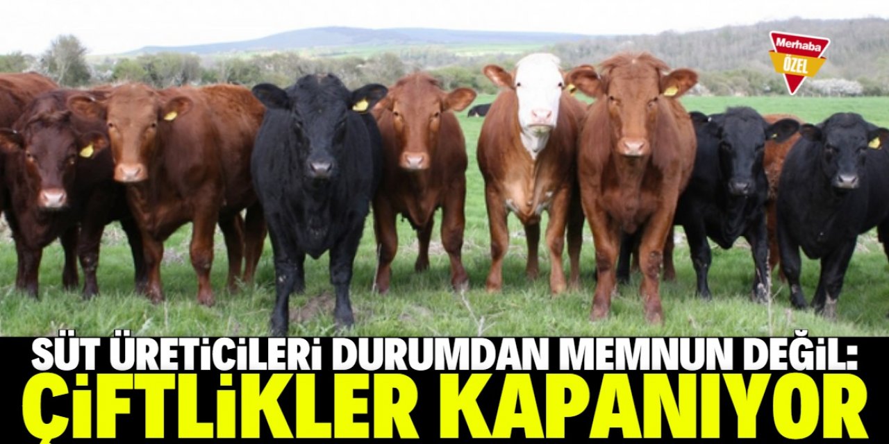 Süt fiyatları markette sürekli artıyor!