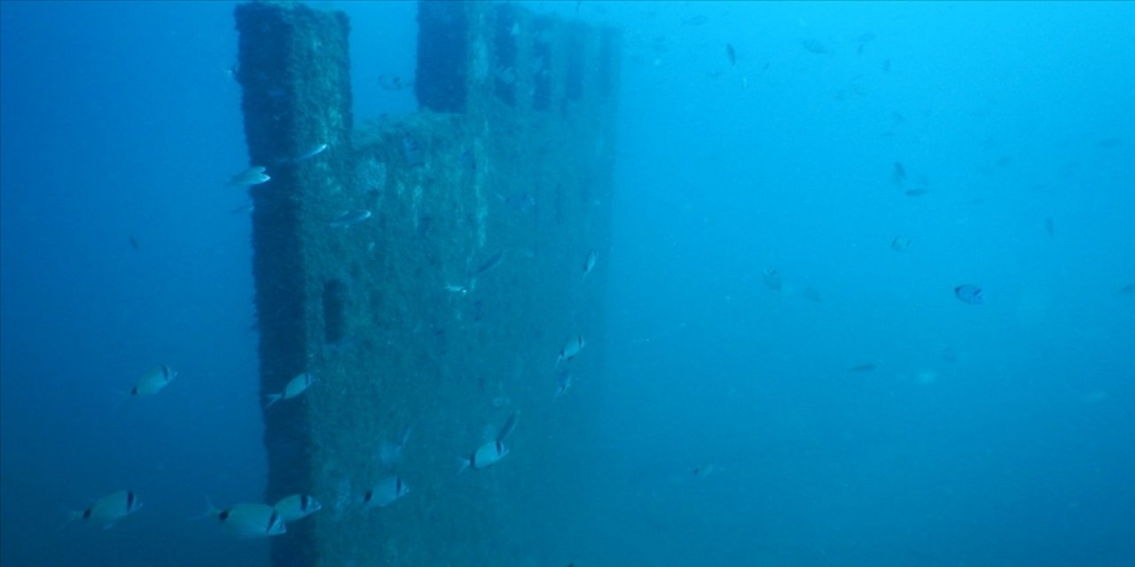 Saros Körfezi'nde su altında oluşturulan "Enez Tarihi Müzesi" balıklara yuva oldu