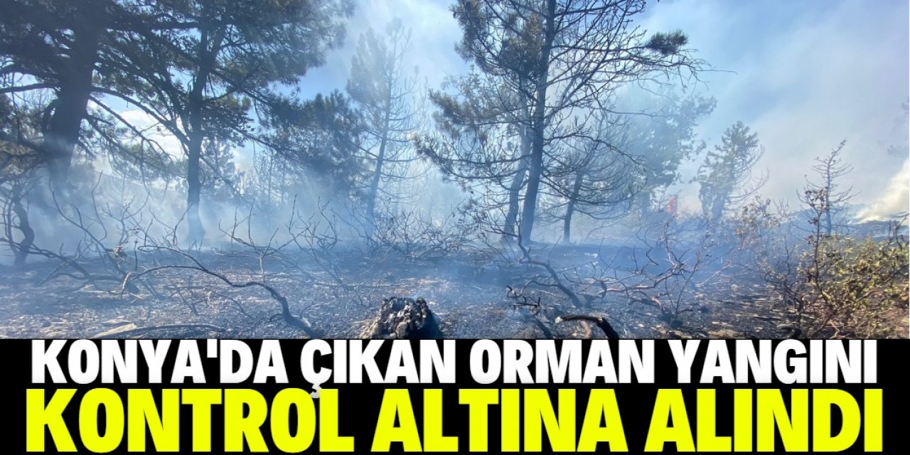 Konya'da korkutan orman yangını