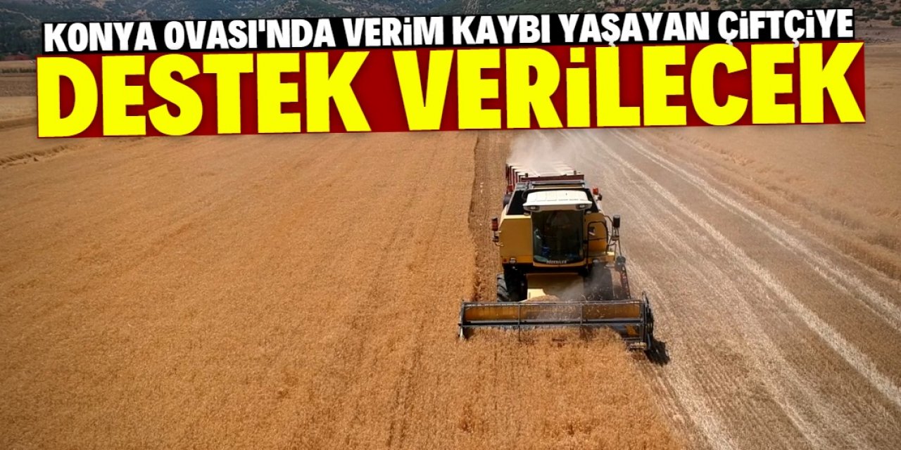 Konya Ovası'nda verim kaybı yaşayan hububat üreticilerine destek verilecek