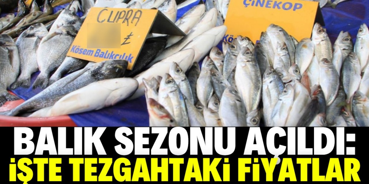 Yeni sezonun ilk balıklarının fiyatı