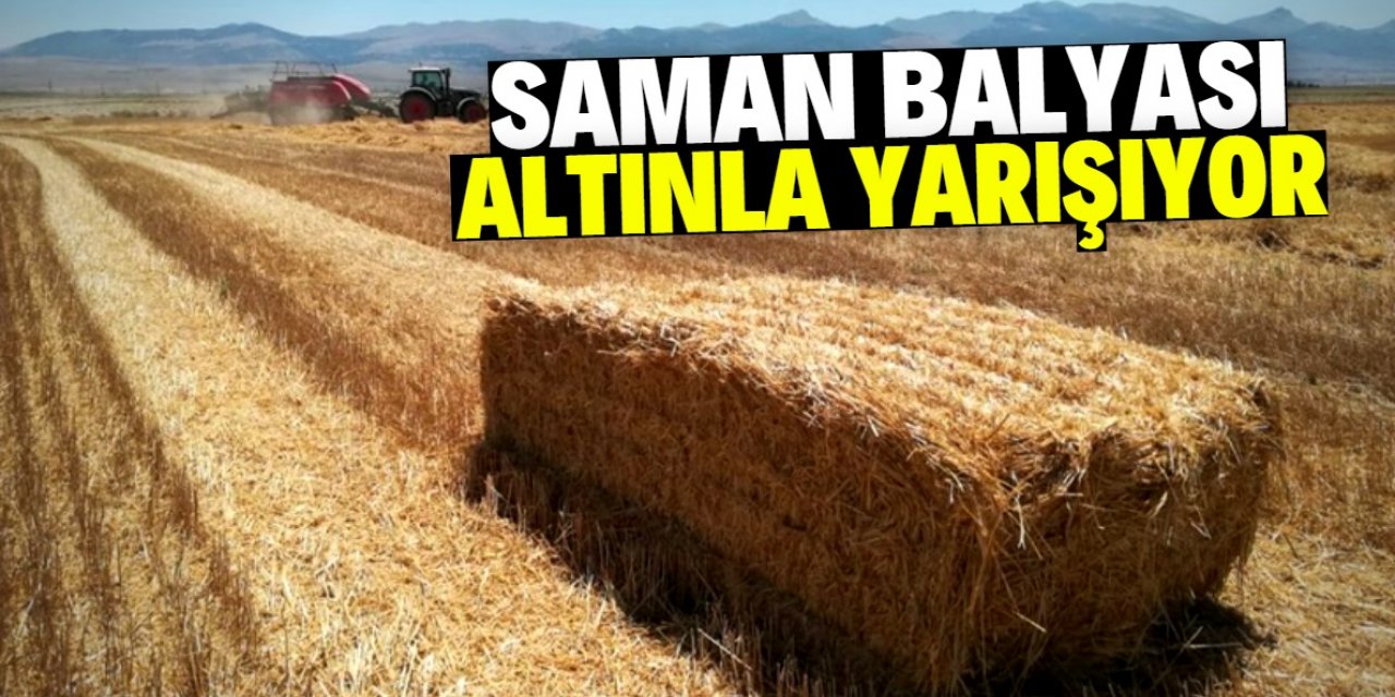 Saman fiyatı cep yakıyor