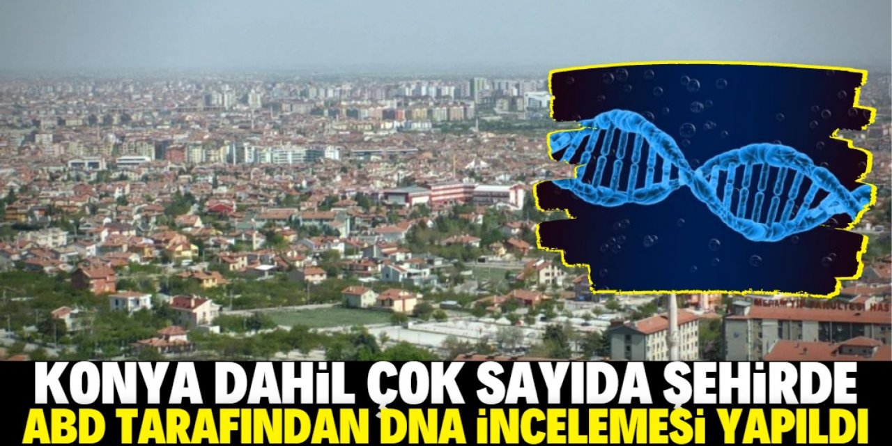 ABD'li bilim insanları tarafından Konya'da DNA incelemesi yapıldı