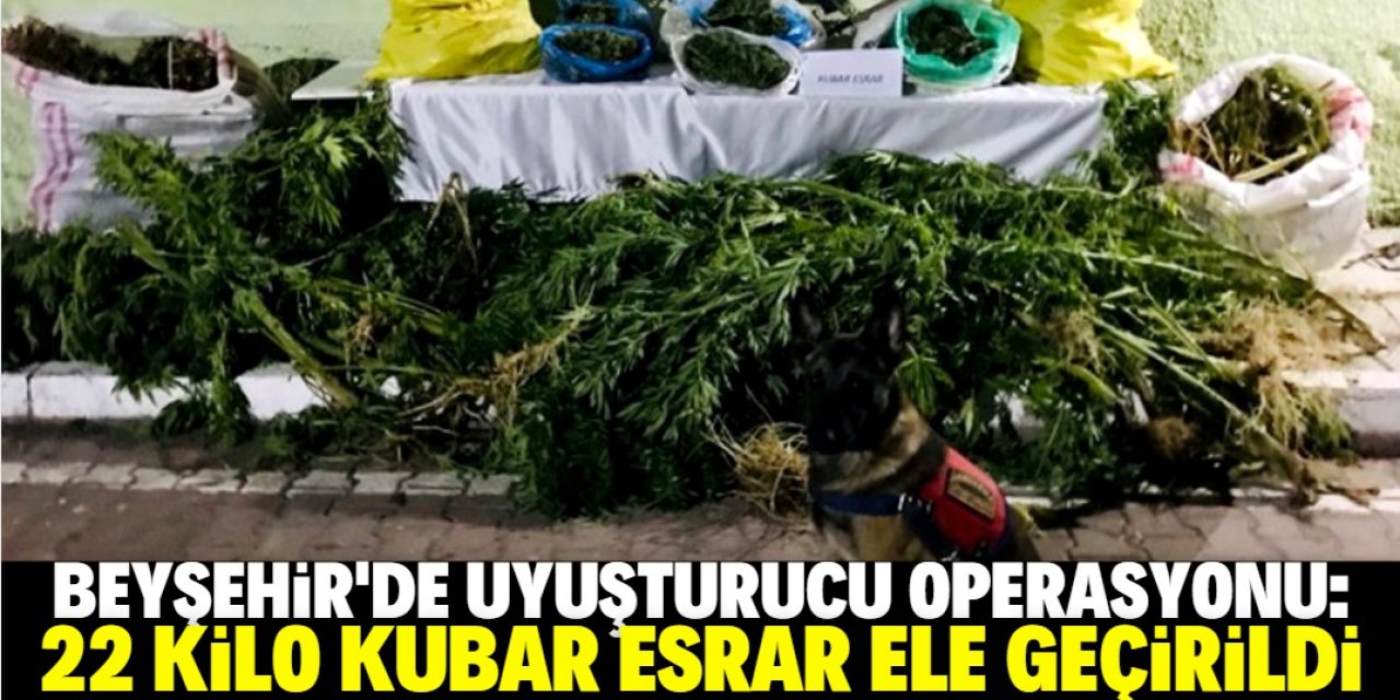 Beyşehir'de uyuşturucu operasyonu