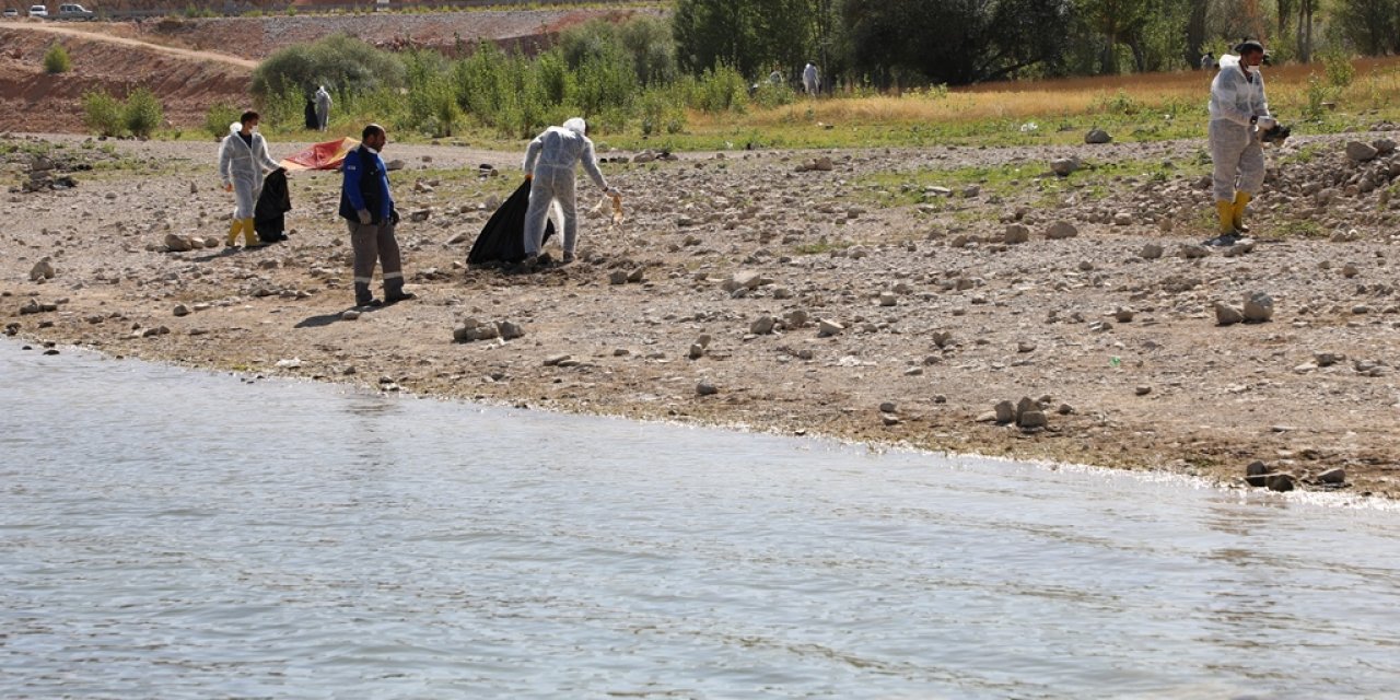 Altınapa Baraj Gölü temizleniyor