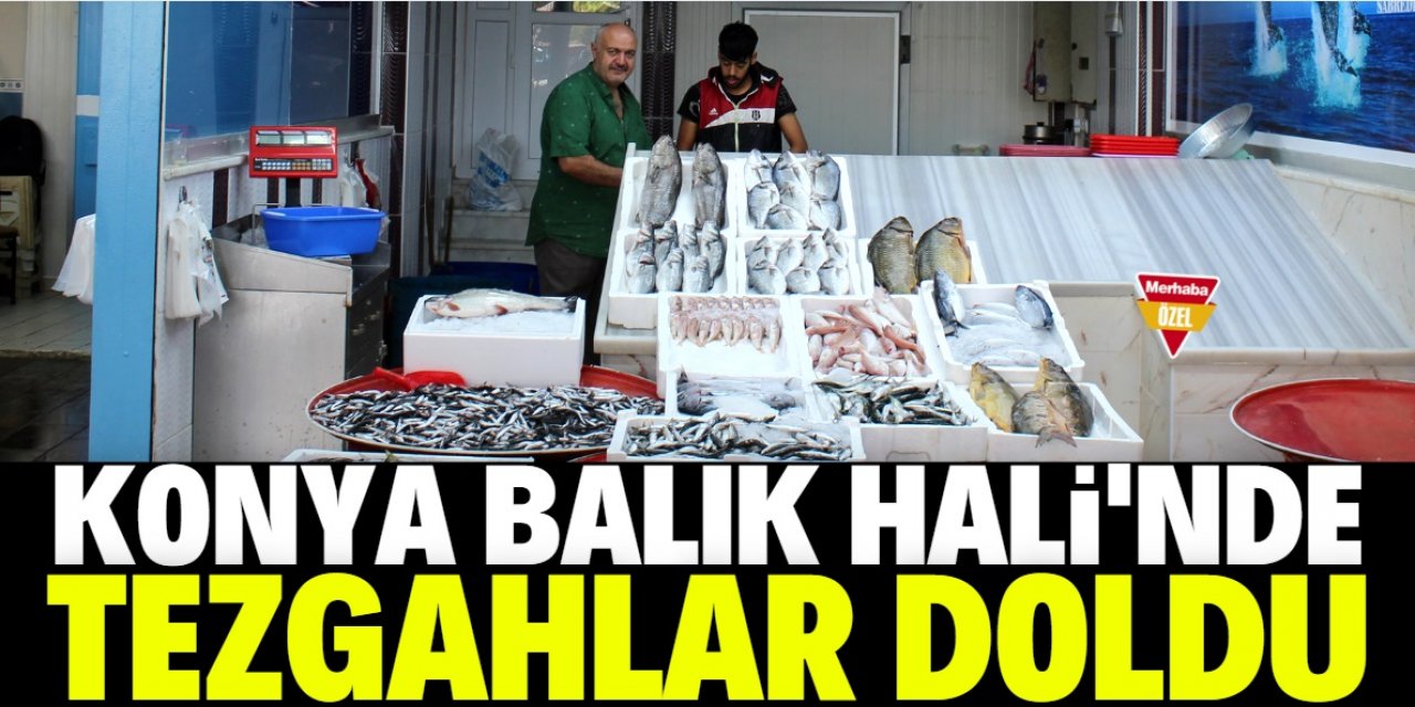 Balık Hali'nde tezgahlar doldu