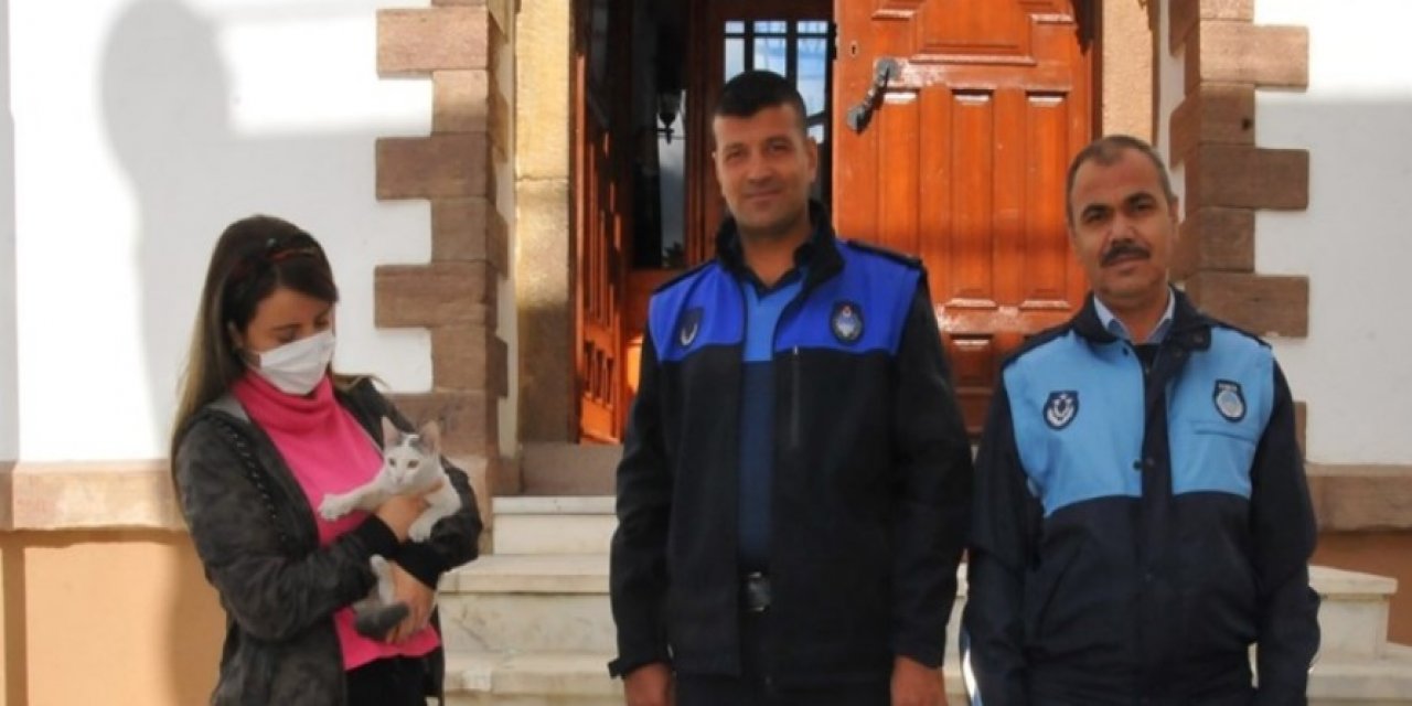 Akşehir'de zabıta ekipleri sokakta bulduğu kediyi sahibine teslim etti